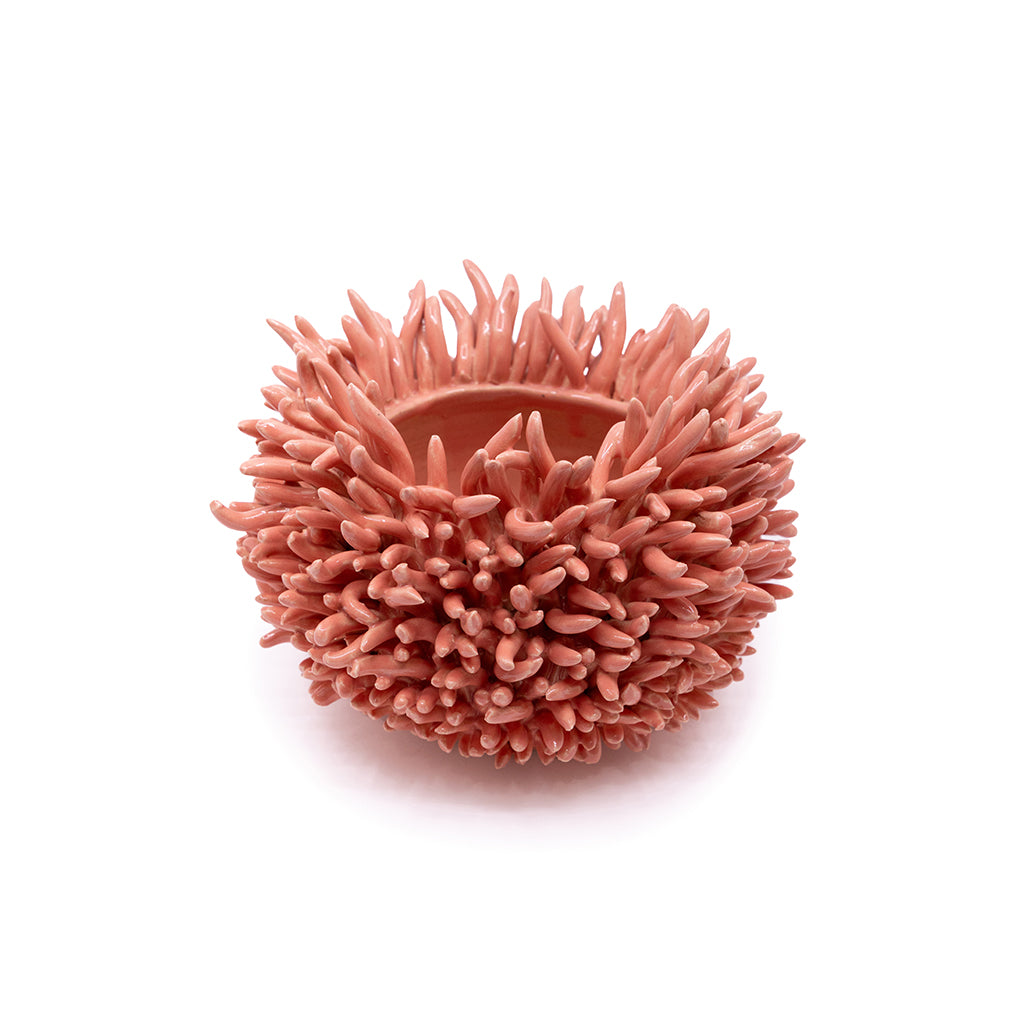 Coral