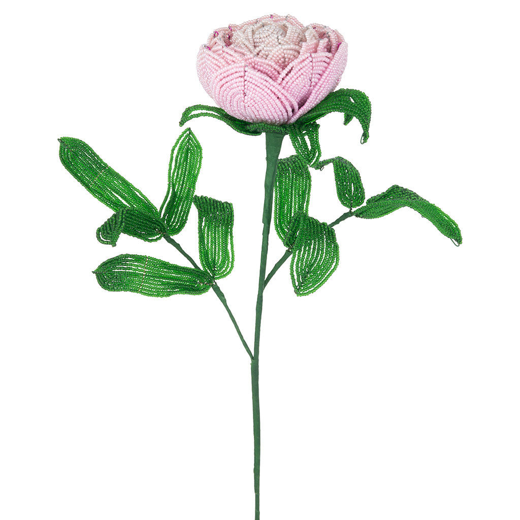 Peony Stem