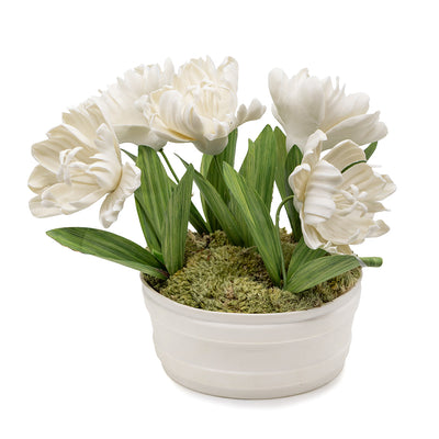 Bisque Tulips in a White Pot
