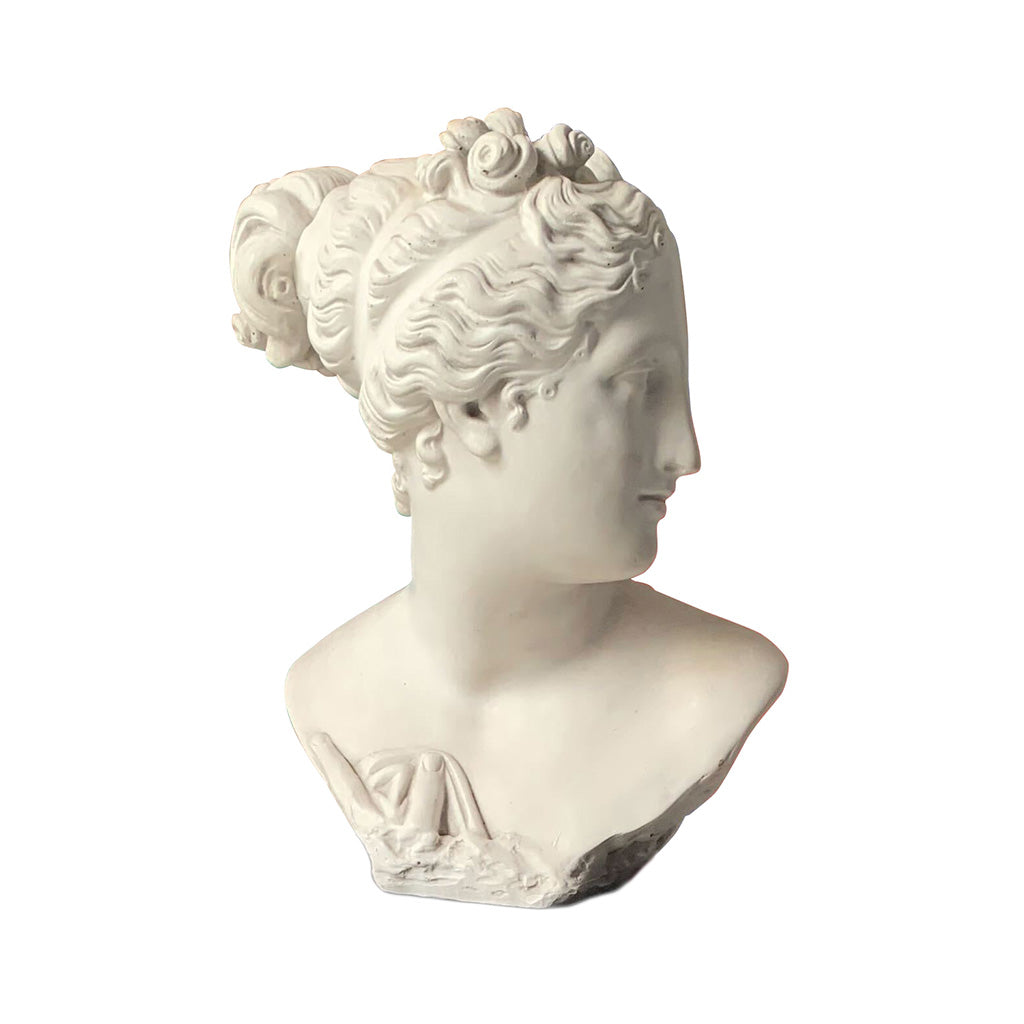 Vintage Plaster Bust of Venus