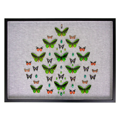 Framed Butterfly and Beetle Artwork on Raffia Matting