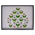 Framed Butterfly and Beetle Artwork on Raffia Matting