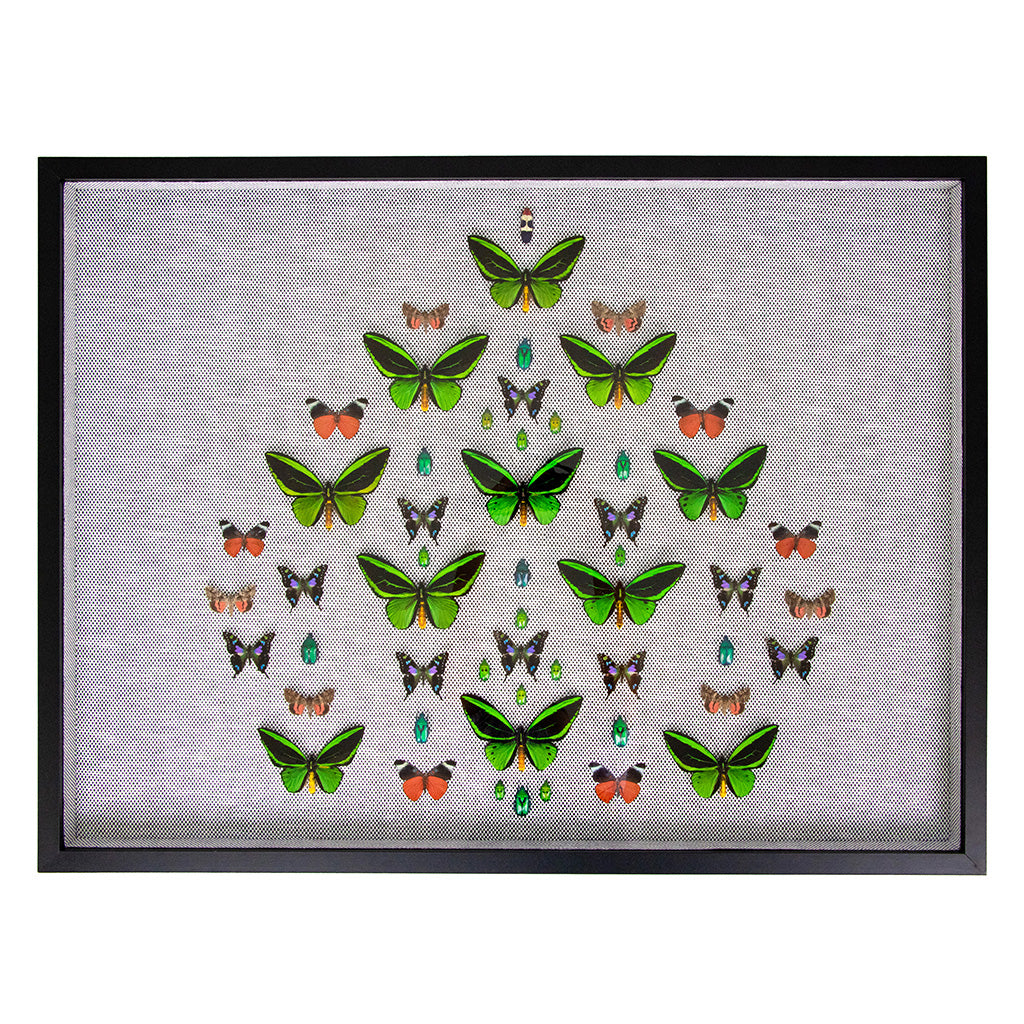Framed Butterfly and Beetle Artwork on Raffia Matting