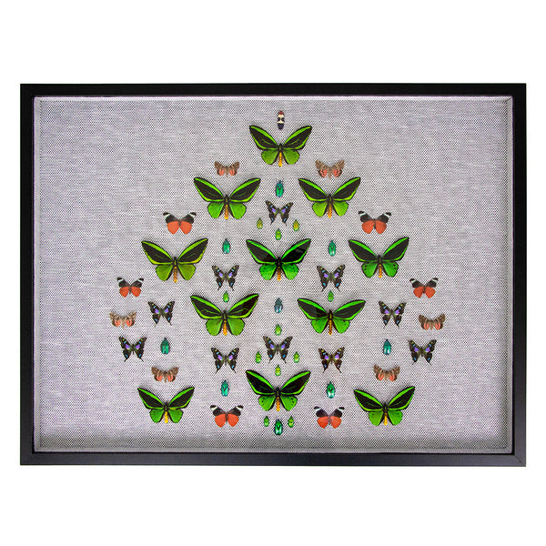 Framed Butterfly and Beetle Artwork on Raffia Matting