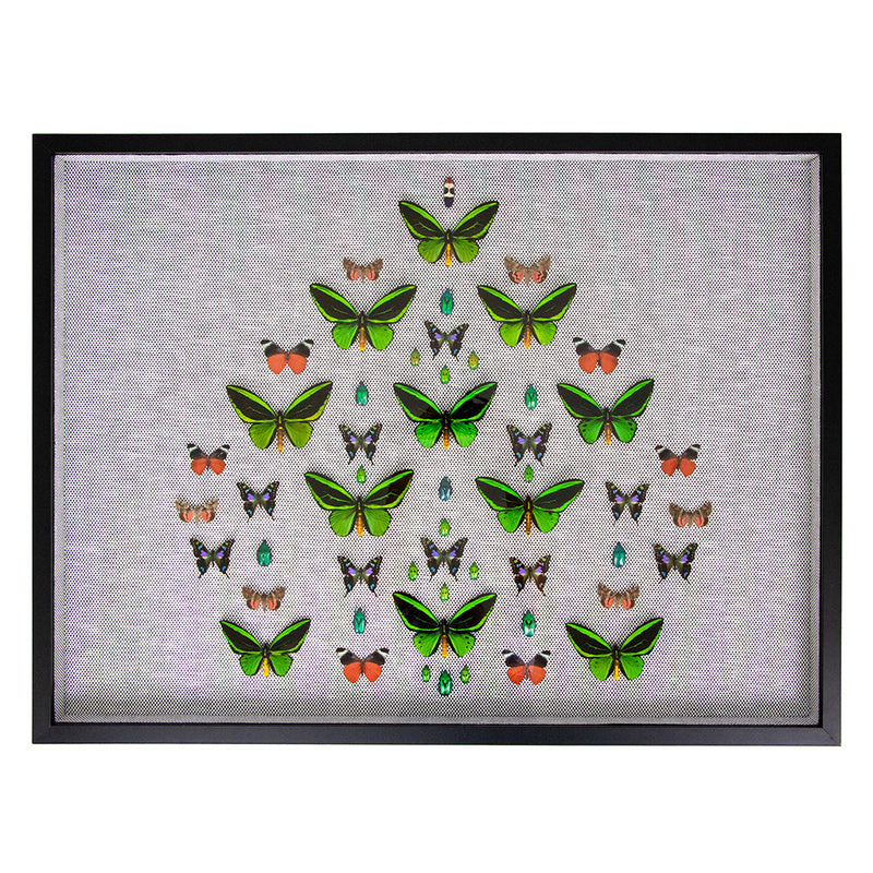 Framed Butterfly and Beetle Artwork on Raffia Matting