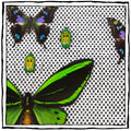 Framed Butterfly and Beetle Artwork on Raffia Matting