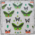 Framed Butterfly and Beetle Artwork on Raffia Matting