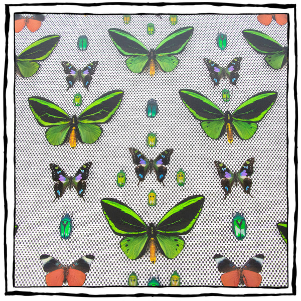 Framed Butterfly and Beetle Artwork on Raffia Matting
