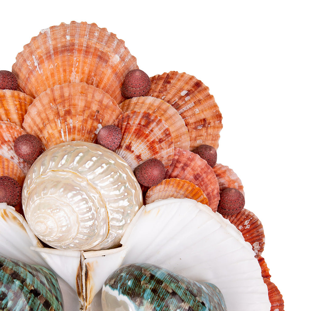 Shell Masks | Casa Branca