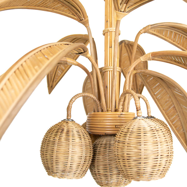 Cocotier Ceiling Fixture