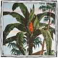 Bamboo Framed Wallpaper Panel by Dufour