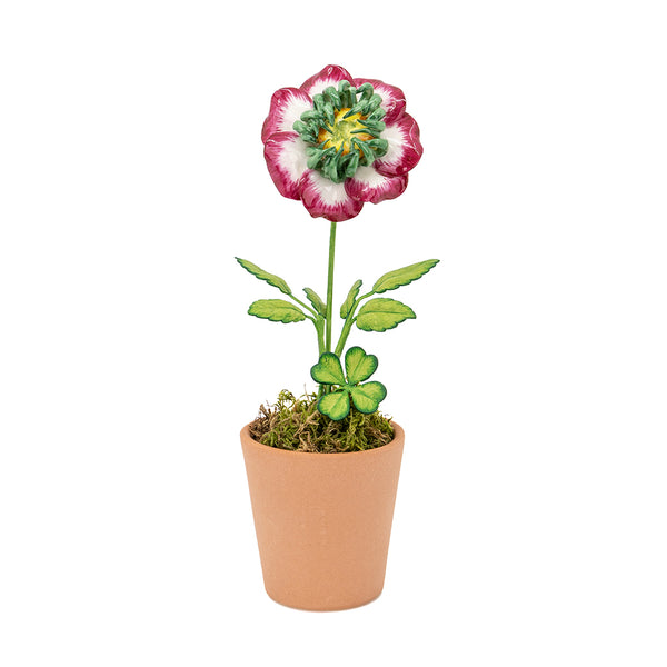 Cerise