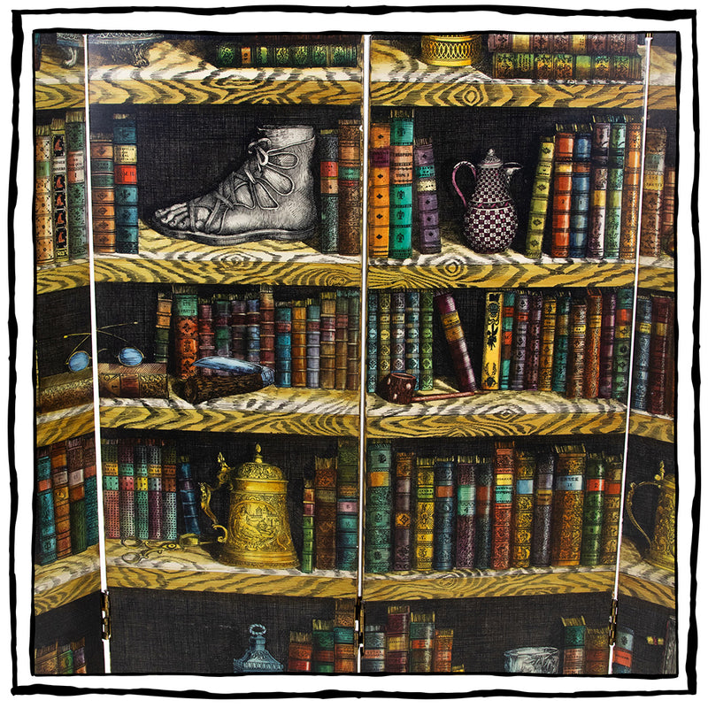 Hand-painted, Double-sided Fireplace Screen by Fornasetti