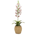 Porcelain Foxglove in an Oval Rattan Cachepot