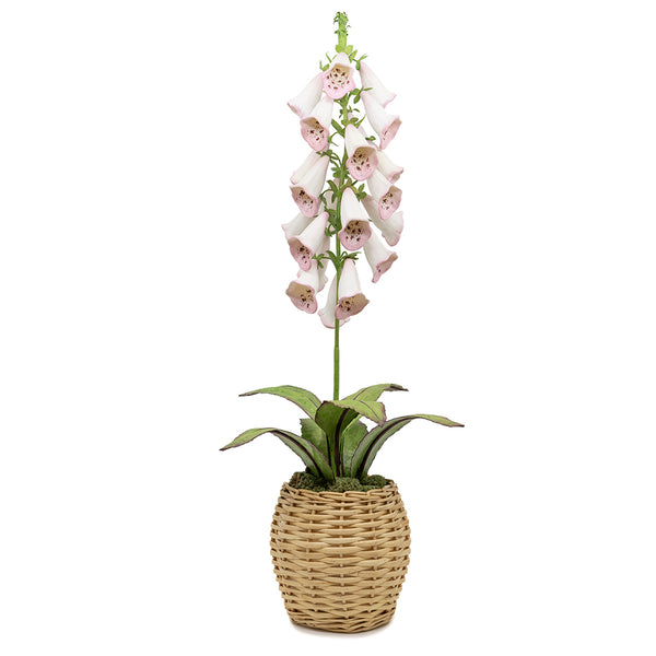 Porcelain Foxglove in an Oval Rattan Cachepot