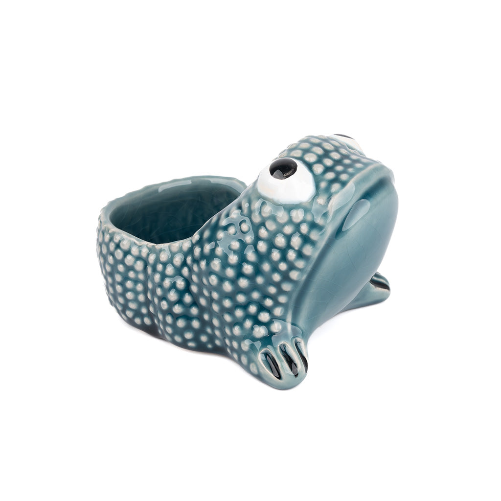 Small Ceramic Frog Cachepot