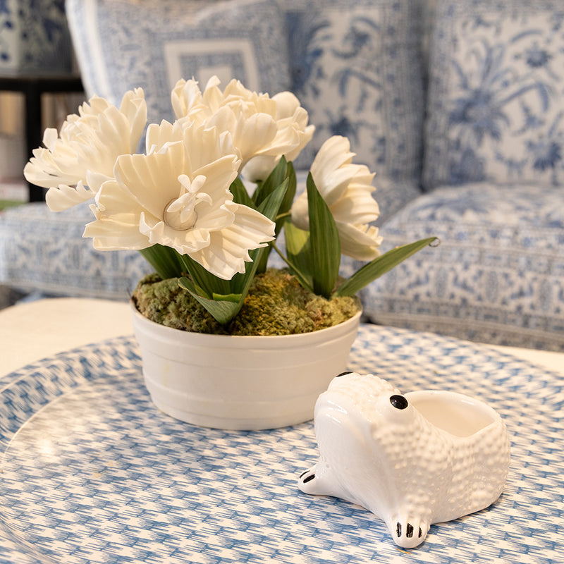 small white ceramic plant pots Small Ceramic Frog Cachepot – Casa Branca
