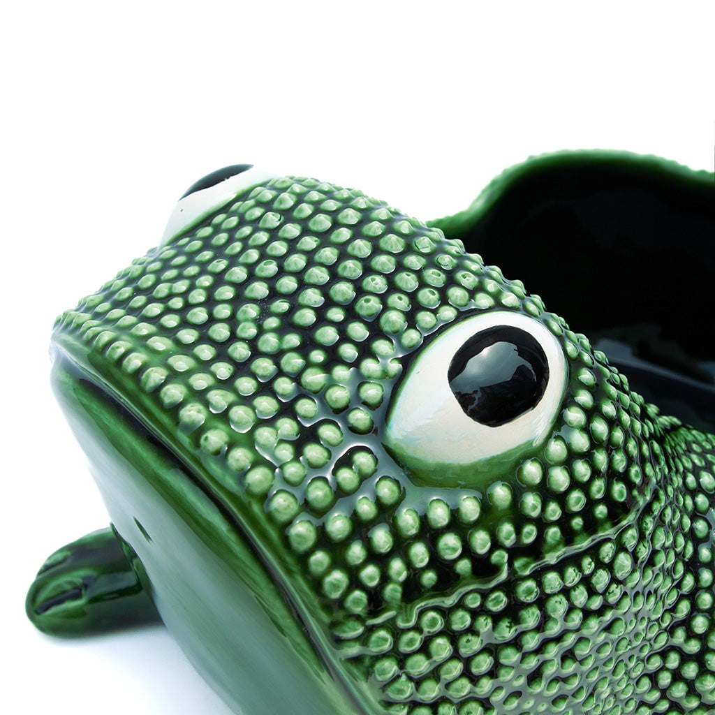 Large Ceramic Frog Cachepot