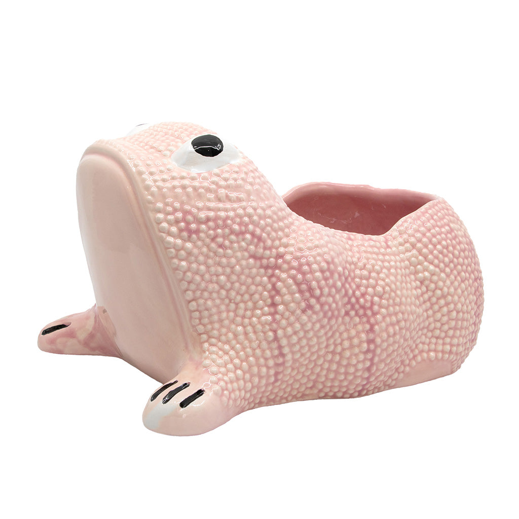 Large Ceramic Frog Cachepot