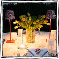 Marmo Poldina Pro Lampshade