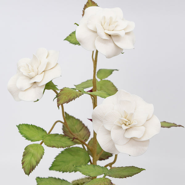 Medium Porcelain Rosebush in an Oval Rattan Cachepot