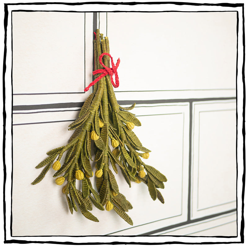 Iraca Palm Mistletoe