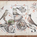 A Pair of Trompe L'Oeil Paintings Featuring Birds