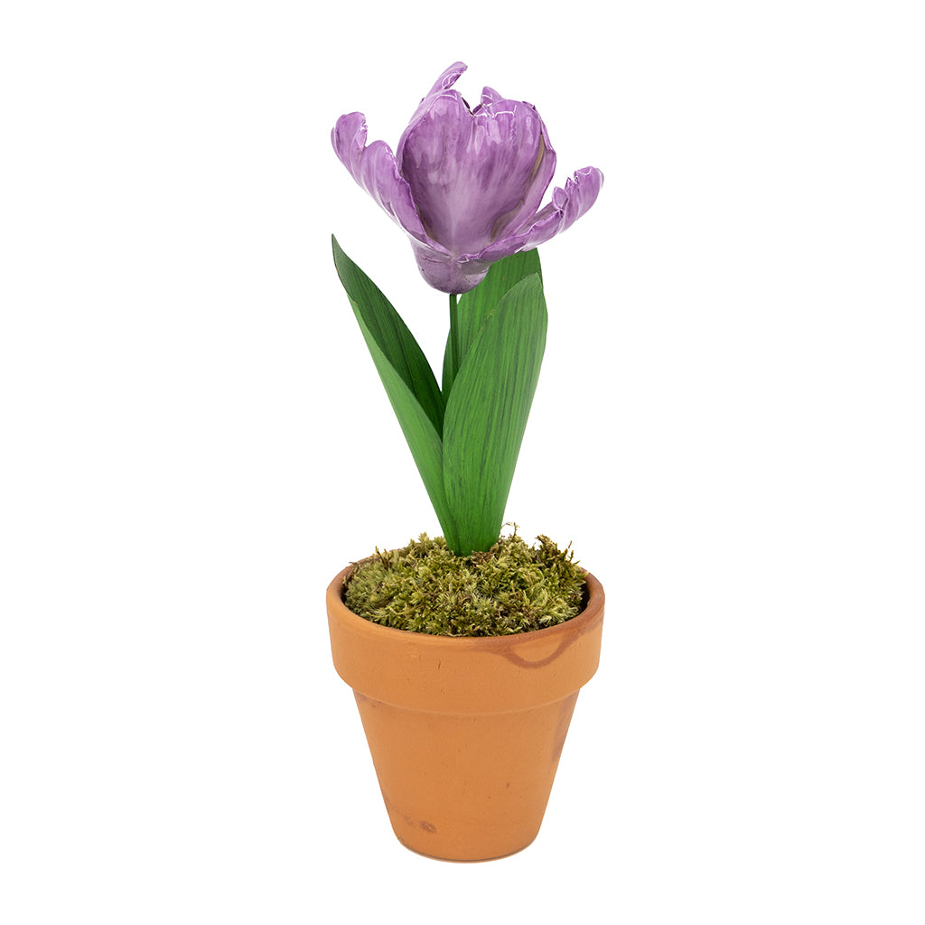 tulip shaped plant pot Porcelain Tulip in a Terracotta Pot
