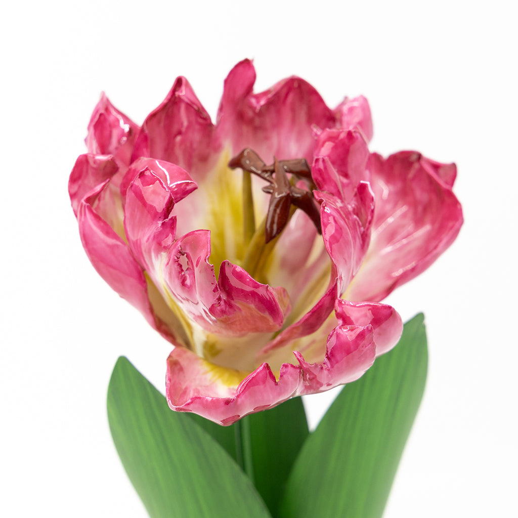 tulipさま おまとめ Porcelain Tulip in a Terracotta Pot – Casa Branca