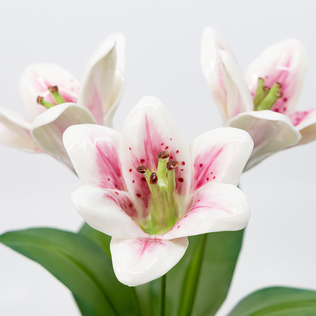 Porcelain Lilies in a Terracotta Pot