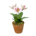 Porcelain Lilies in a Terracotta Pot