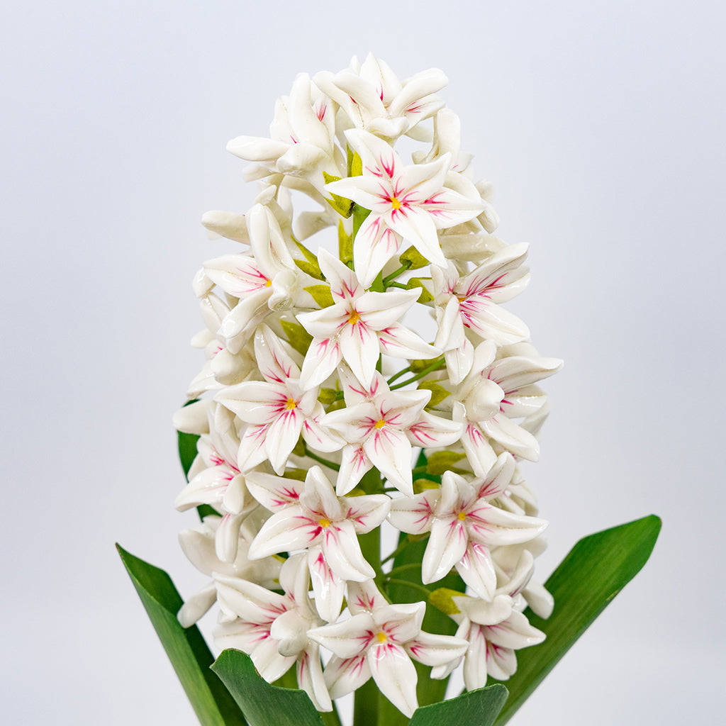 Medium Porcelain Hyacinth in a Square Rattan Cachepot – Casa Branca
