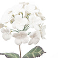 White Bisque Porcelain Hydrangeas in a Square Rattan Cachepot