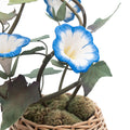 Large Blue Porcelain Morning Glory in an Oval Rattan Cachepot
