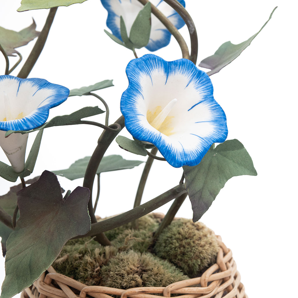 Large Blue Porcelain Morning Glory in an Oval Rattan Cachepot