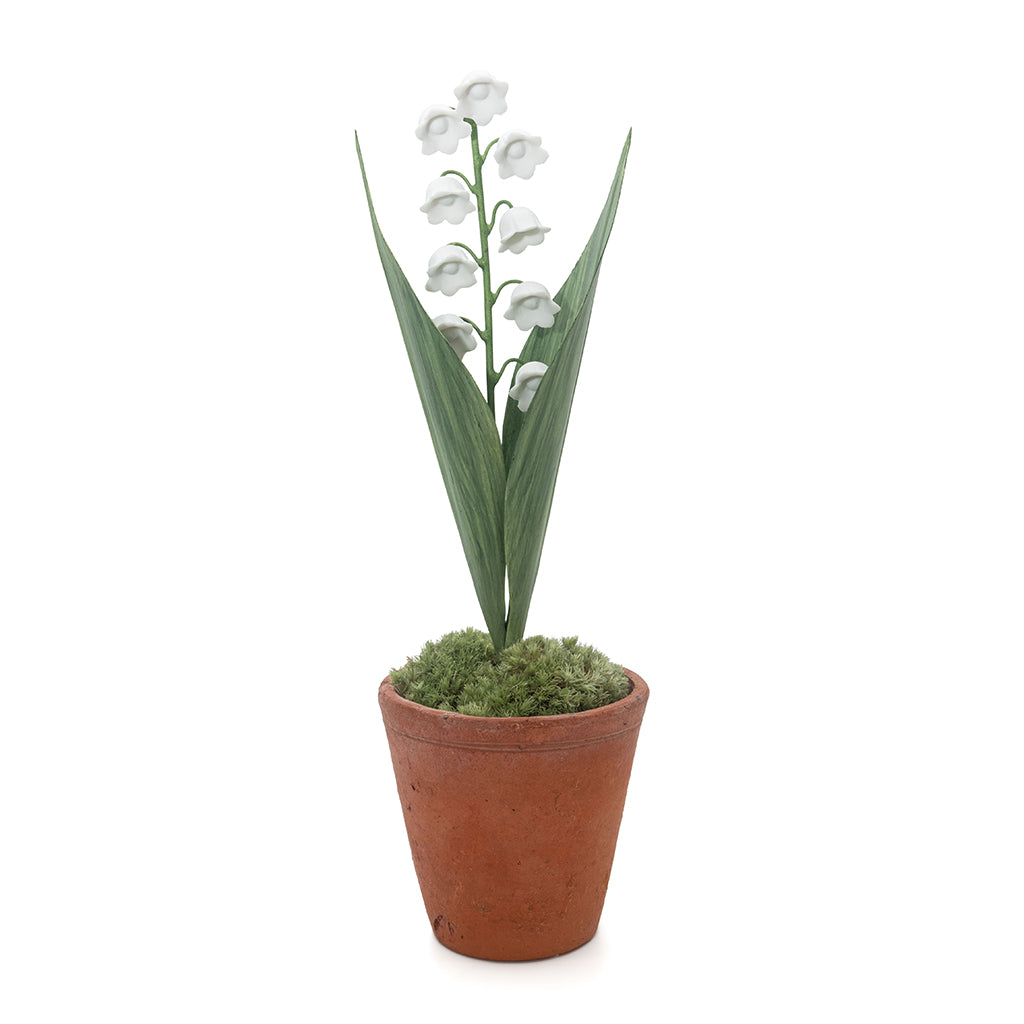Porcelain Lily of the Valley in Terracotta Pot