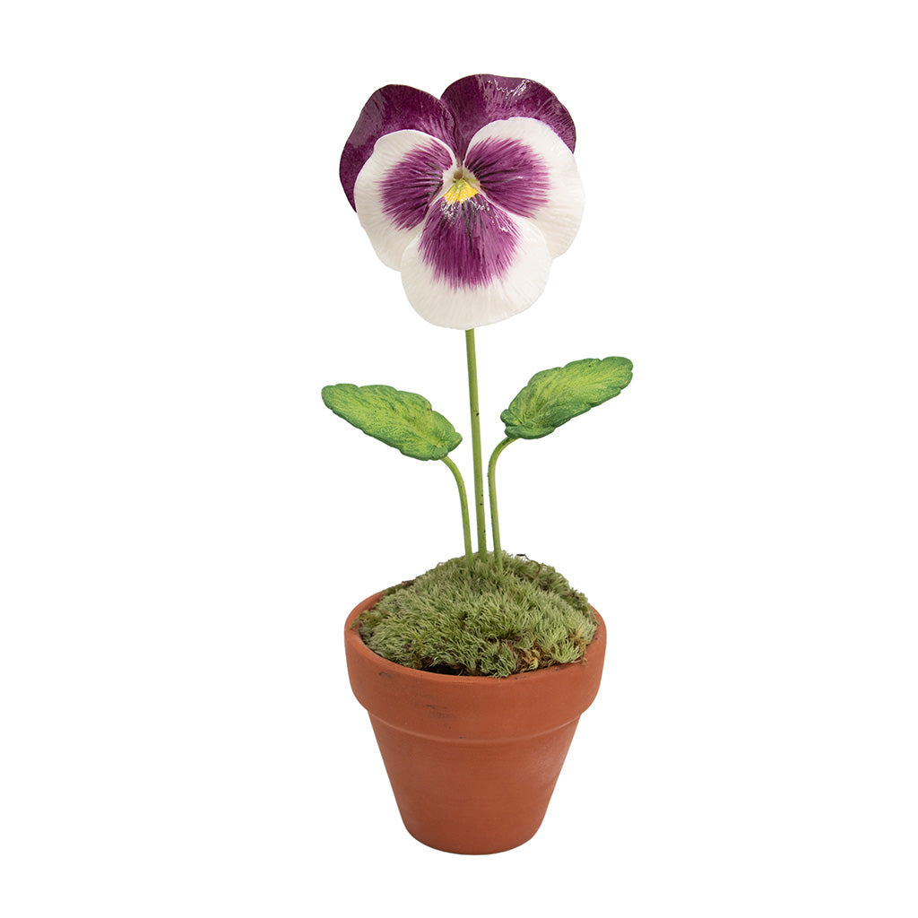 Porcelain Pansy in a Terracotta Pot