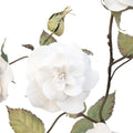 Large Porcelain Rosebush in a Wicker Tree Box