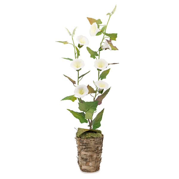 Porcelain Two-Stem Morning Glory in a Wood Pot