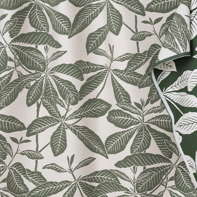 Ivory & Moss