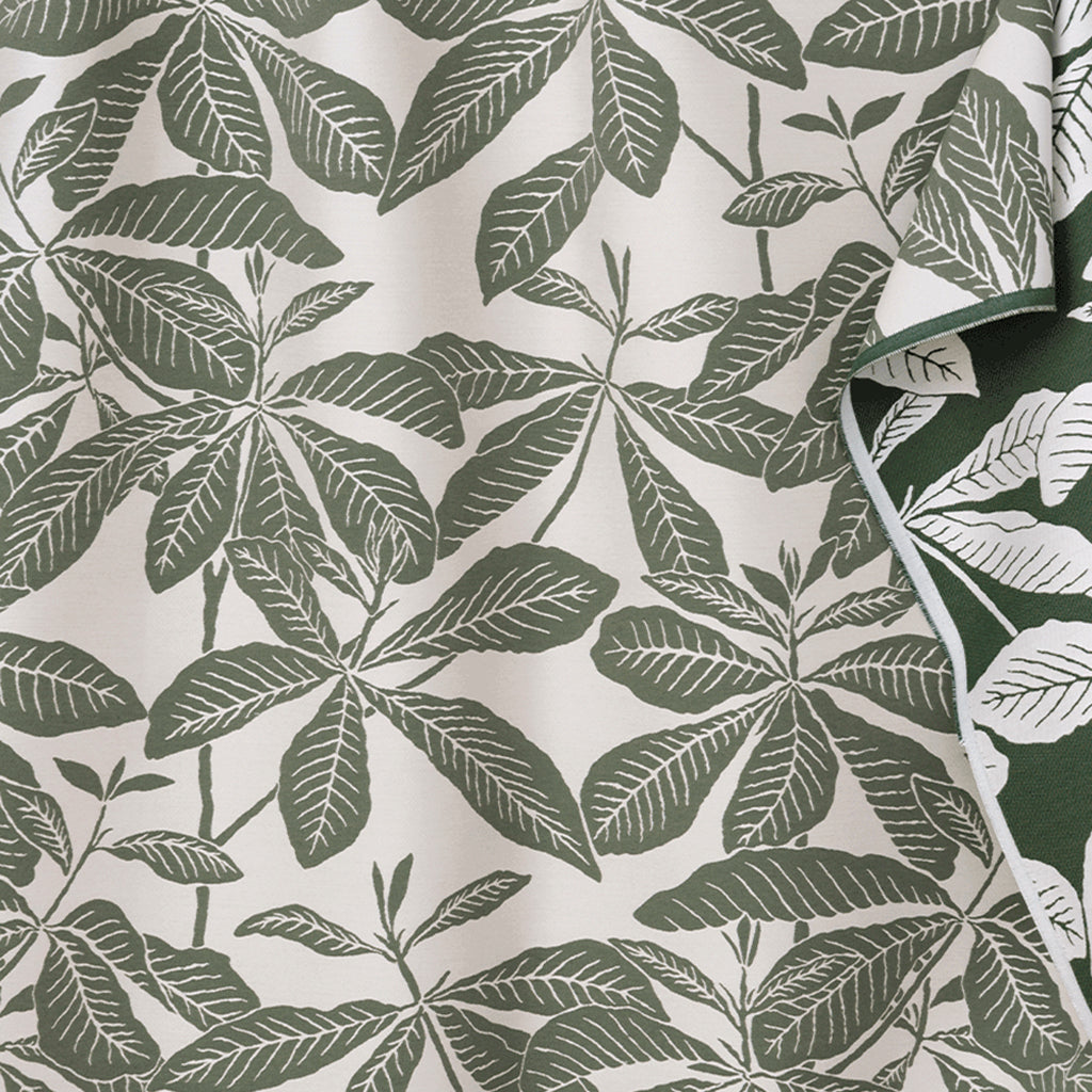 Ivory & Moss