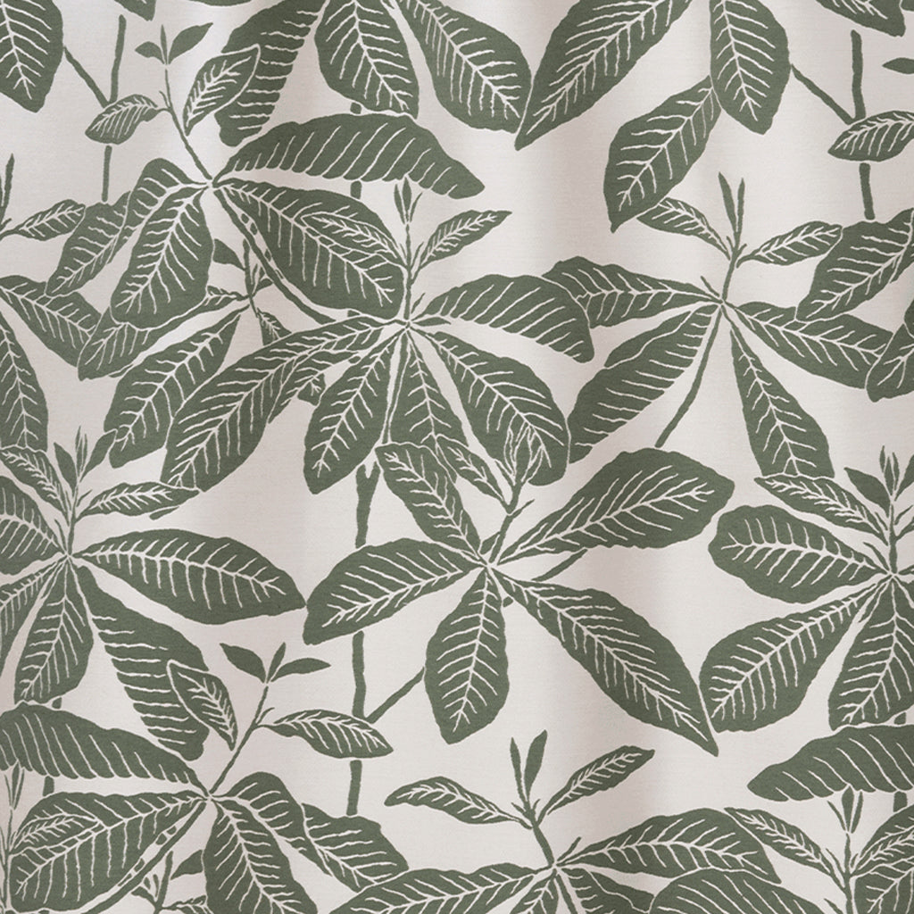 Ivory & Moss