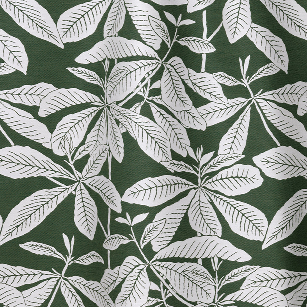 Ivory & Moss