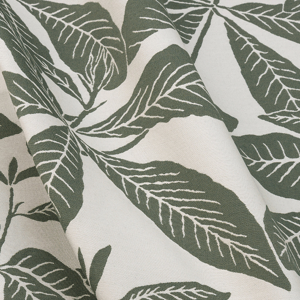 Ivory & Moss