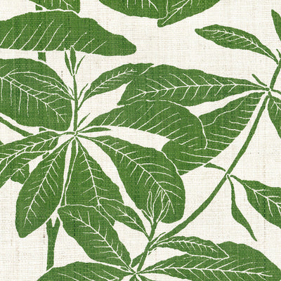 Foglia - Madagascar Leaf (Wallpaper Memo)