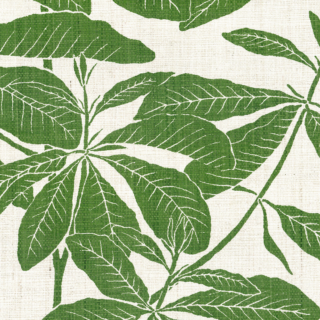 Foglia - Madagascar Leaf (Wallpaper Memo)