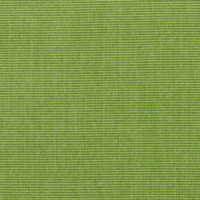 Giardino - Verde (Memo)