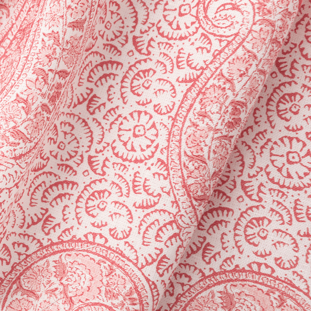 Coral & Salmon