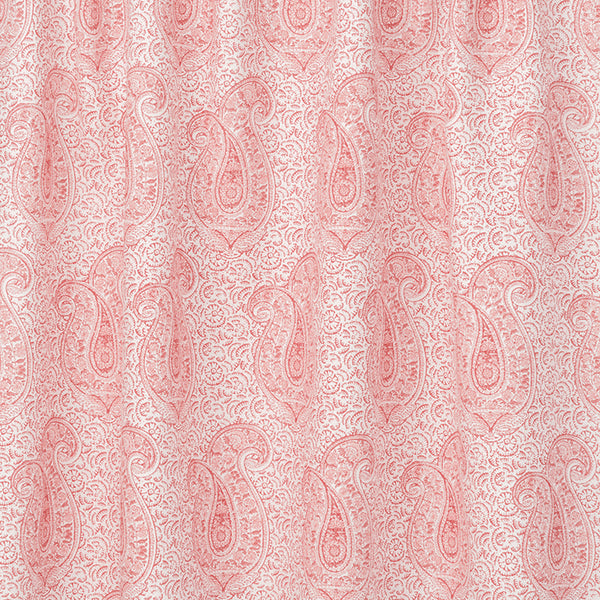 Coral & Salmon