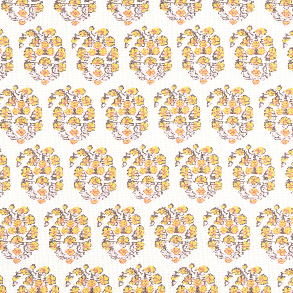 Jodhpur - Salmon & Roman (Memo)